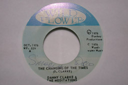 Danny Clarke & The Meditations: The Changing Of The Times, Wildflower